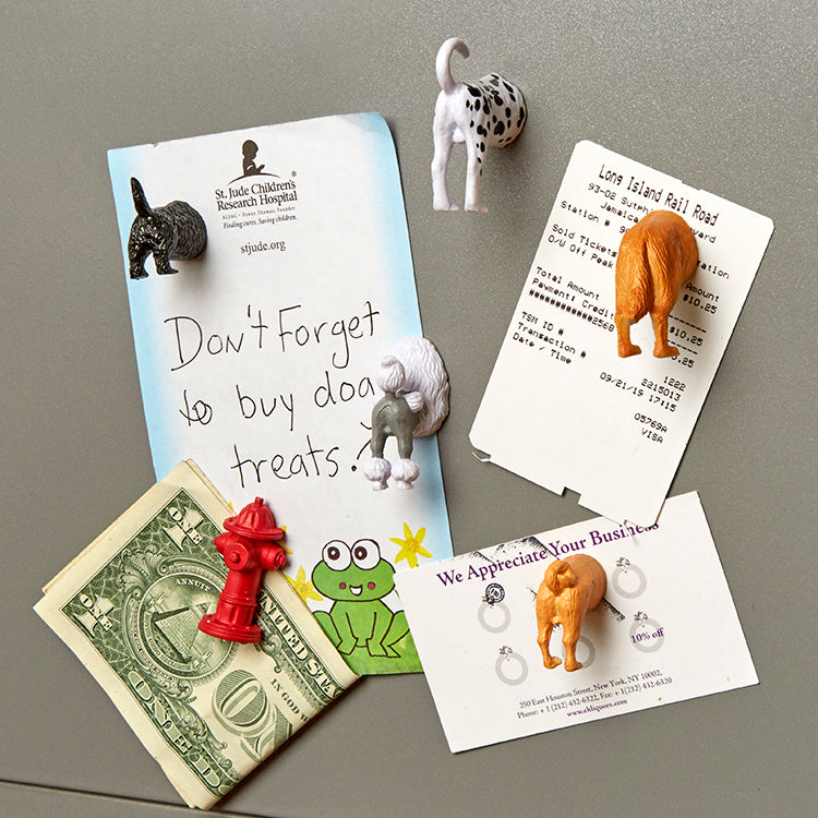 Kikkerland Home Dog Butt Kühlschrankmagnete 6er Set