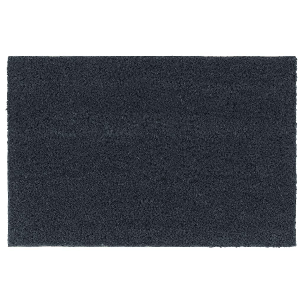 vidaXL Heim & Garten Fußmatten 2 STK Natur 40x60 Kokos