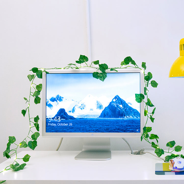Kikkerland Home Ivy Lichterkette LED 3m USB Fernbedienung