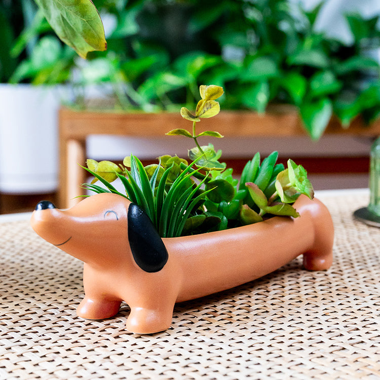 Kikkerland Home Daisy Dachshund Planter Blumentopf Porzellan