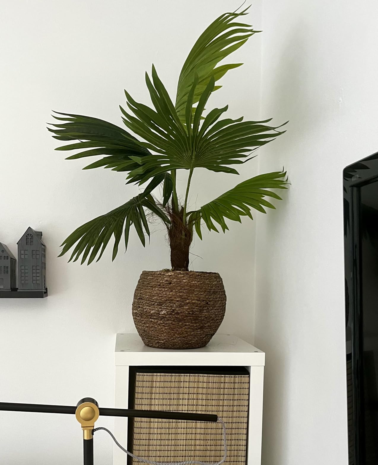 vidaXL Kunstpflanze Palme 70 cm mit Topf Grün Dekopflanze