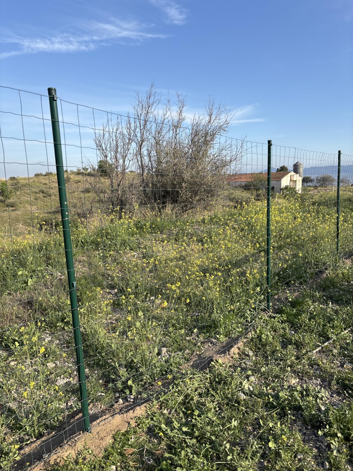 vidaXL Eurozaun Stahl 25 x 1 m Grün Maschendrahtzaun