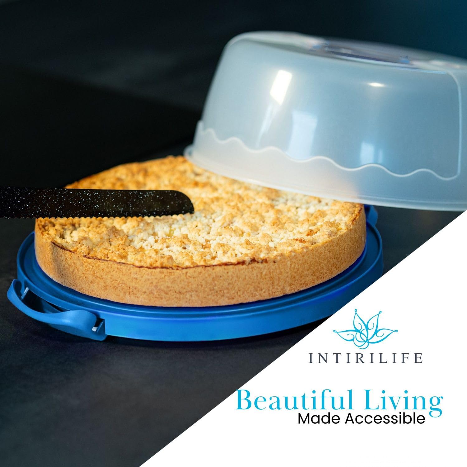 Intirilife Kuchenbox Rund Blau Kunststoff 29,8 cm mit Griff