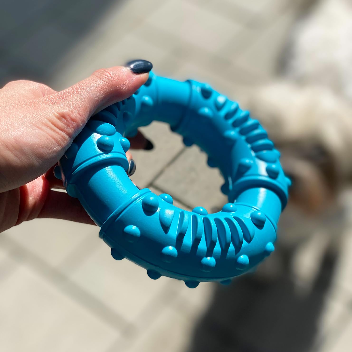 Intirilife Kauring Hundespielzeug Gummi Blau 12,5 cm bissfest