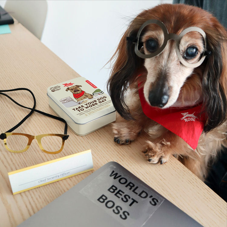 Kikkerland Home Kobe Hunde Set Büro Geschenkset 5-teilig