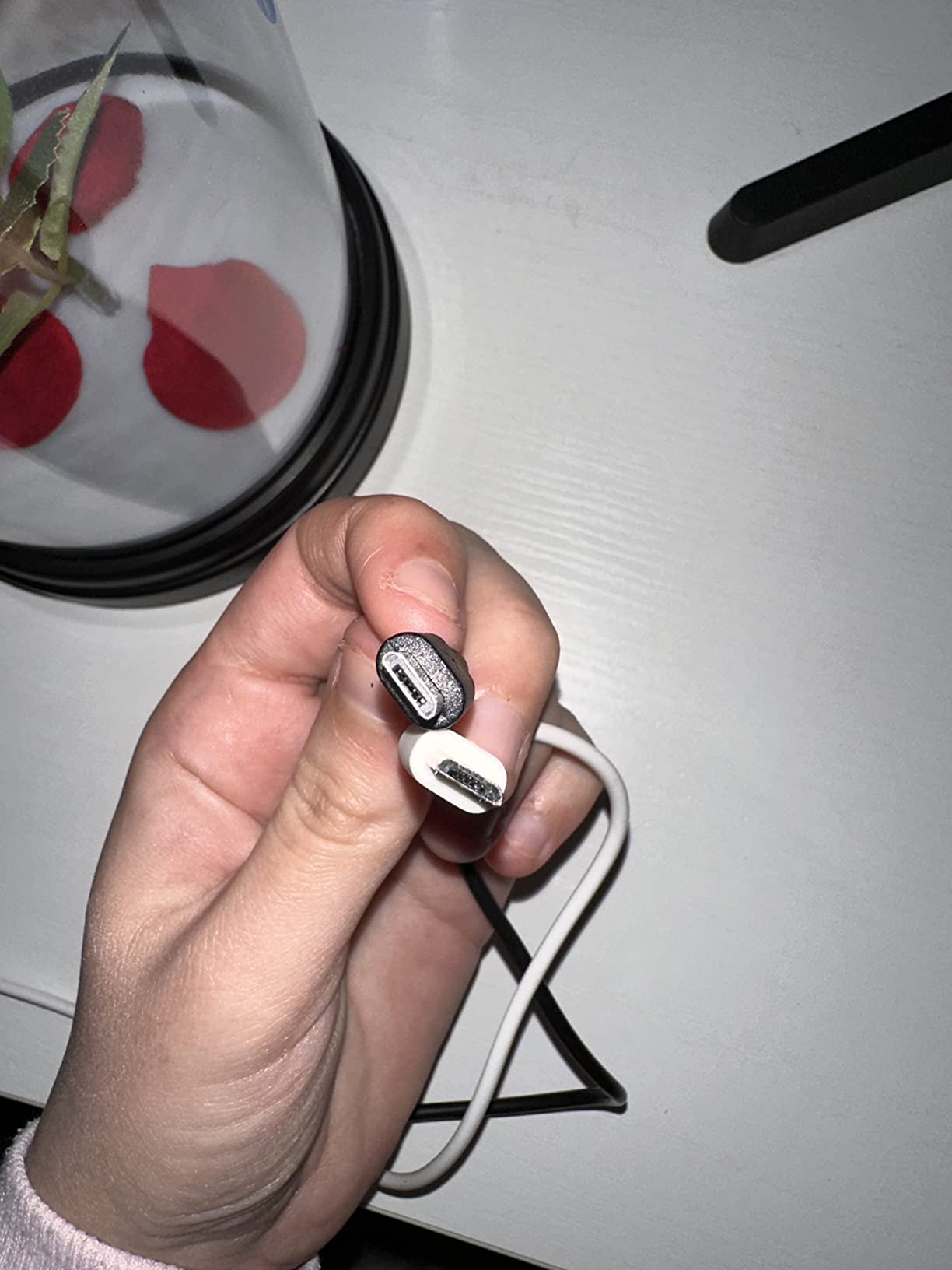 Paladone Disney Rose Lampe Touch USB Batterie Biest