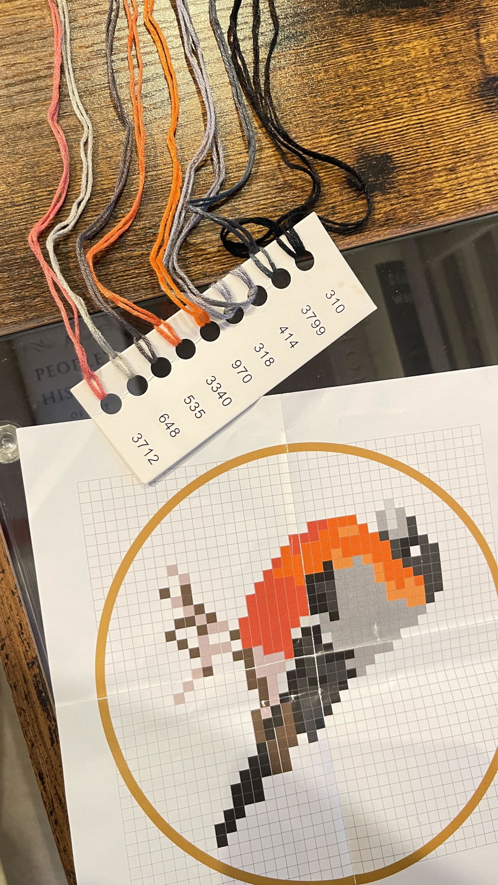 Kikkerland Crafters Bird Mini Kreuzstich Stickset mit Rahmen