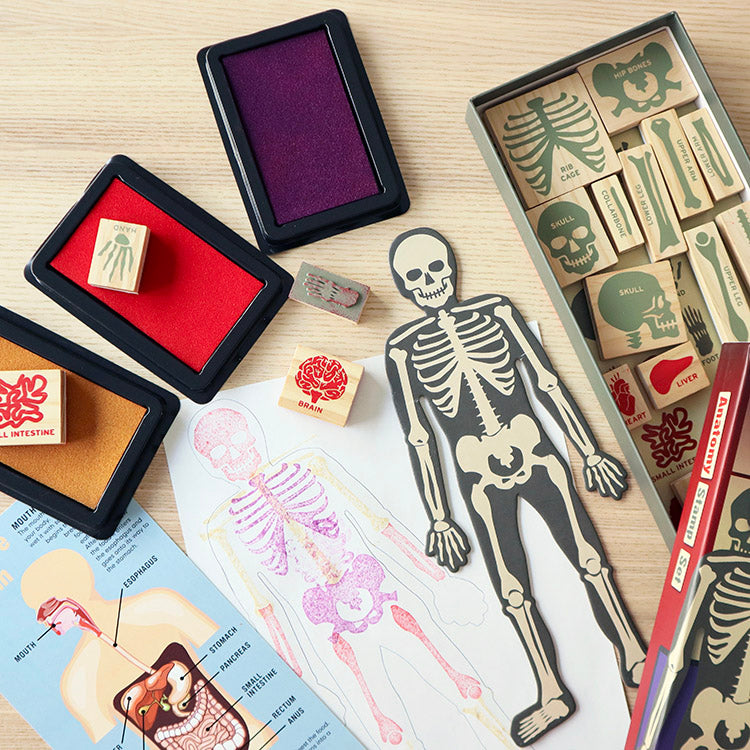 Kikkerland Home Anatomy Stempelset 21-teilig mit Stempelkissen