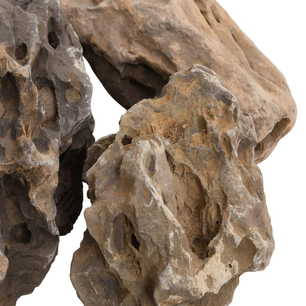 vidaXL Drachensteine 10-40 cm Aquariumsteine Grau 10 kg