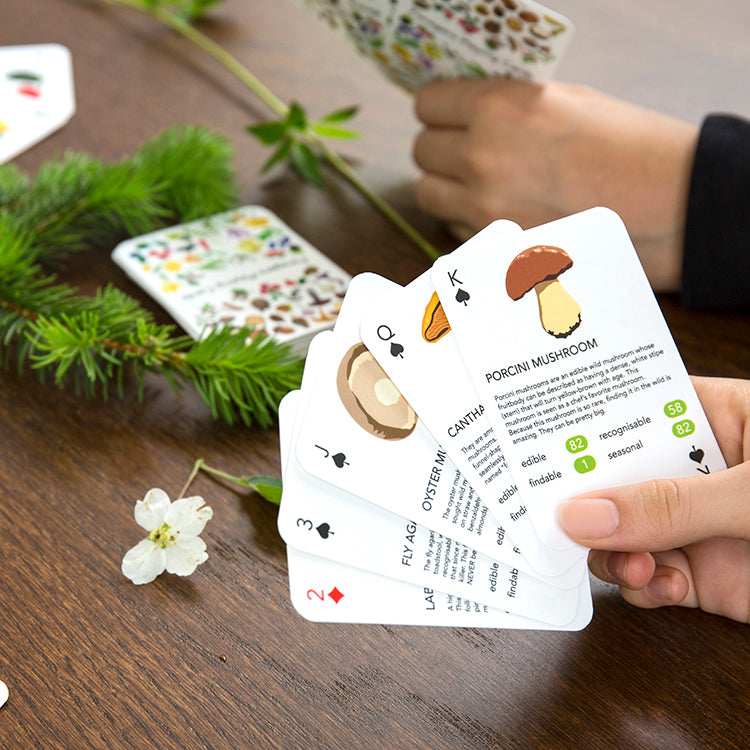 Kikkerland Play Foragers Spielkarten Pilze Top Trumps