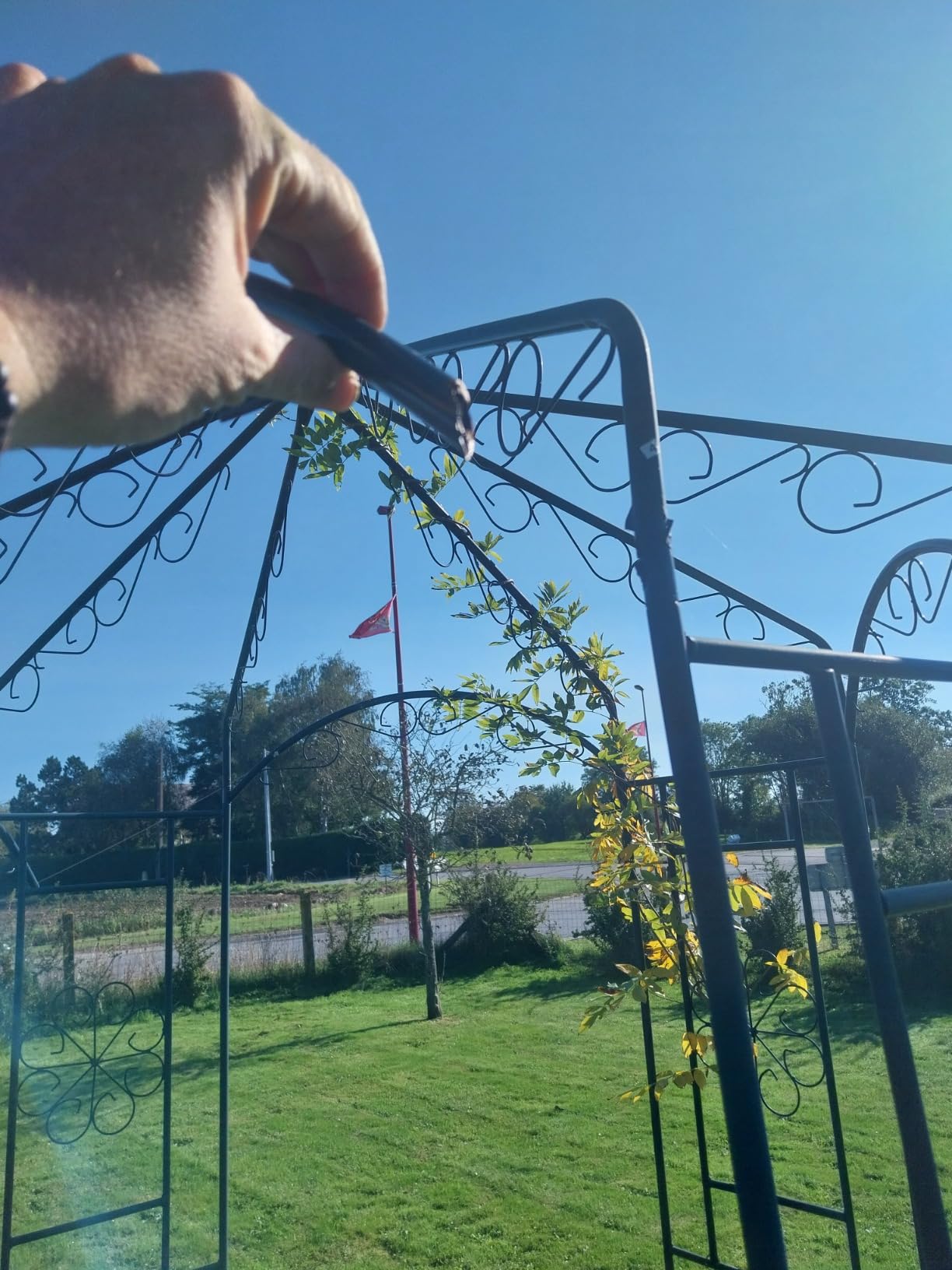 vidaXL Rosenpavillon 250 cm Schmiedeeisen dunkelgrün Rankhilfe