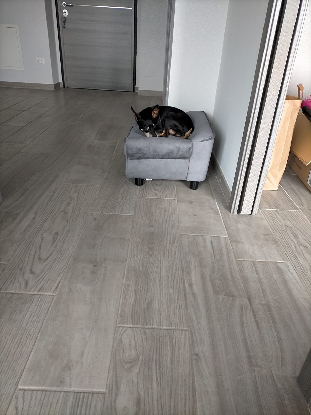 vidaXL Hundesofa Grau Plüsch 72x45x30cm Haustiersofa