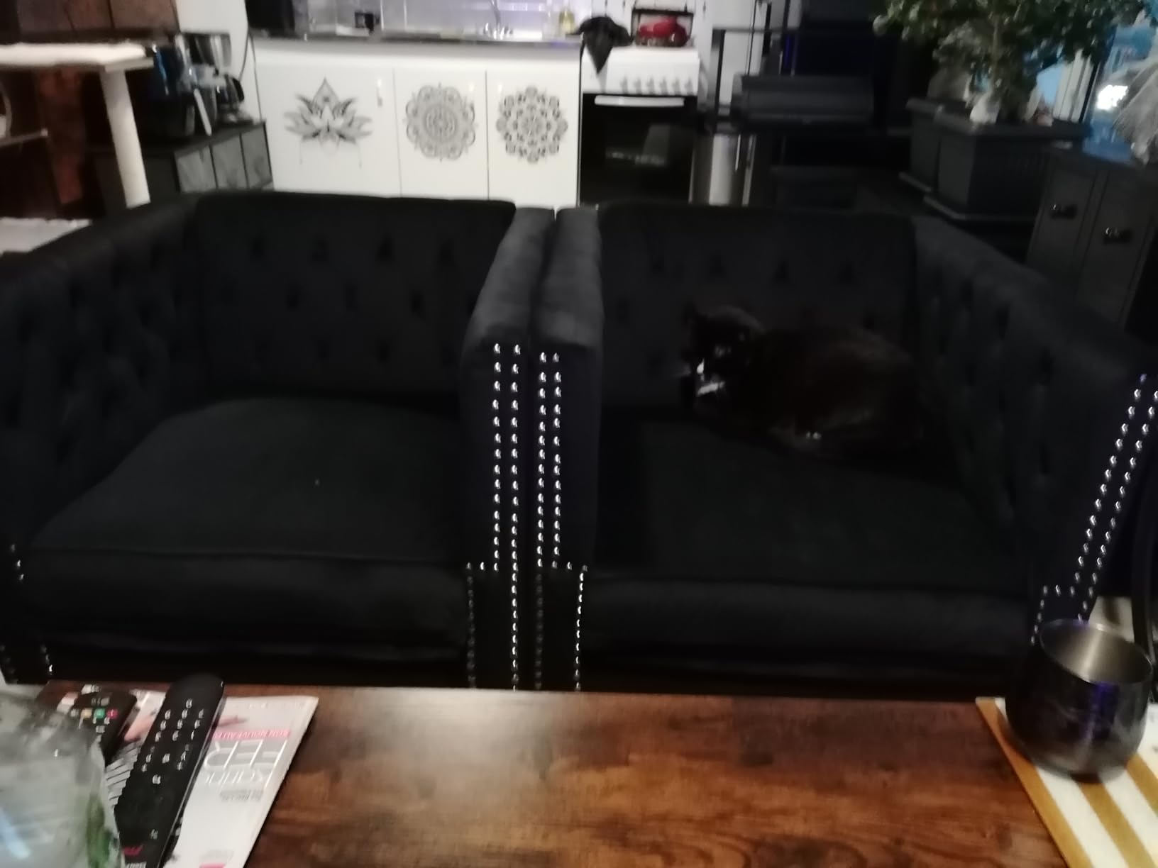 vidaXL Chesterfield-Sessel Samt Sessel Dunkelgrau Knopftuft