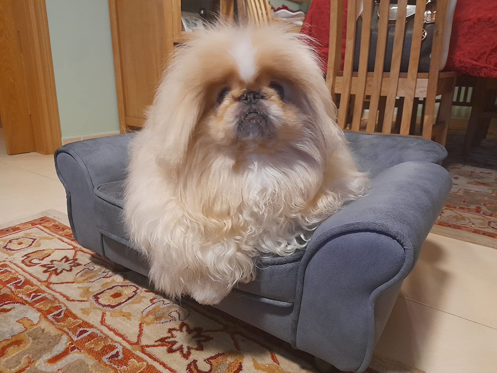 vidaXL Hundesofa Grau Plüsch 72x45x30cm Haustiersofa