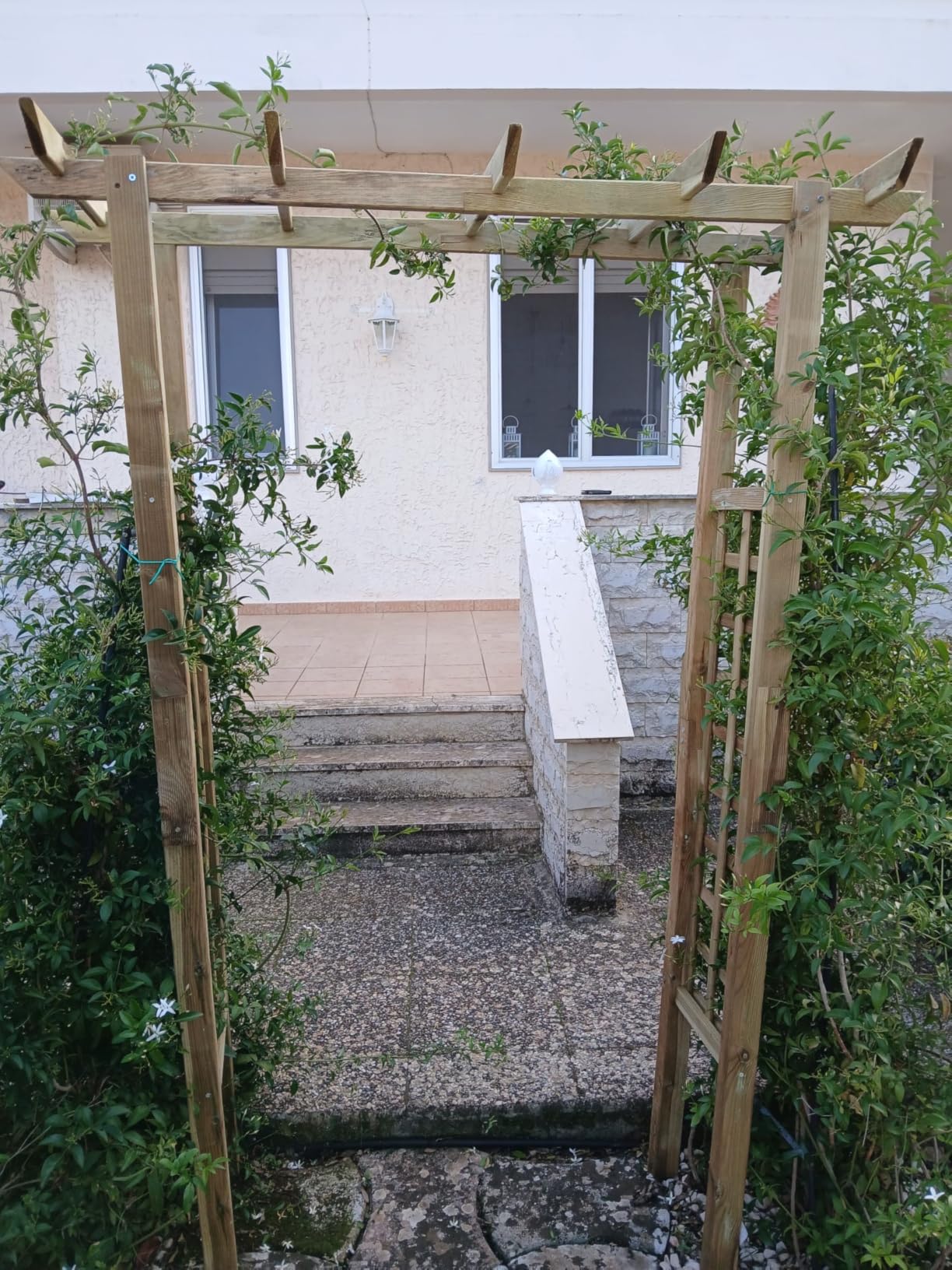 vidaXL Rosenbogen Holz 150x60x204 cm imprägniert