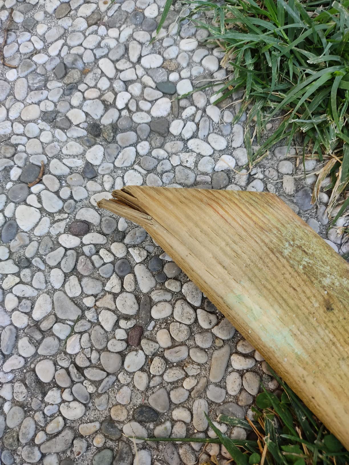 vidaXL Rosenbogen Holz 150x60x204 cm imprägniert