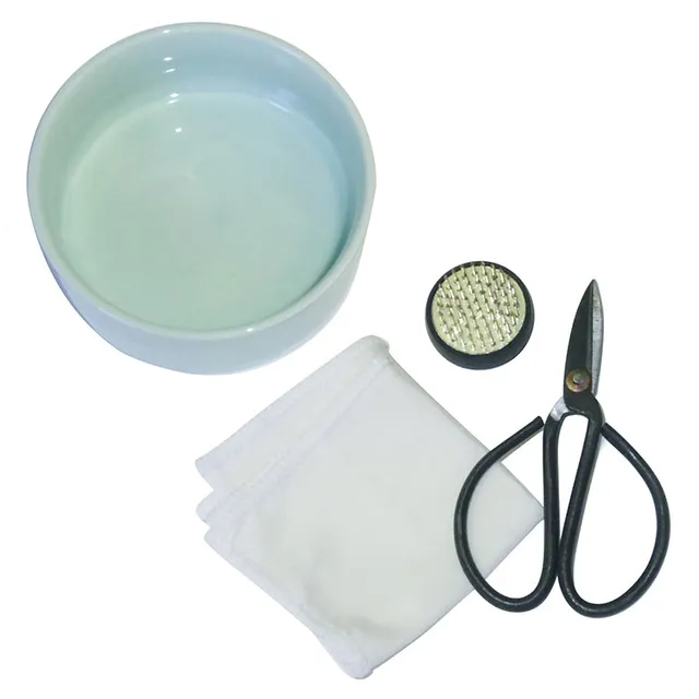 Kikkerland Home Mini Ikebana Kit Blumenset 4-teilig