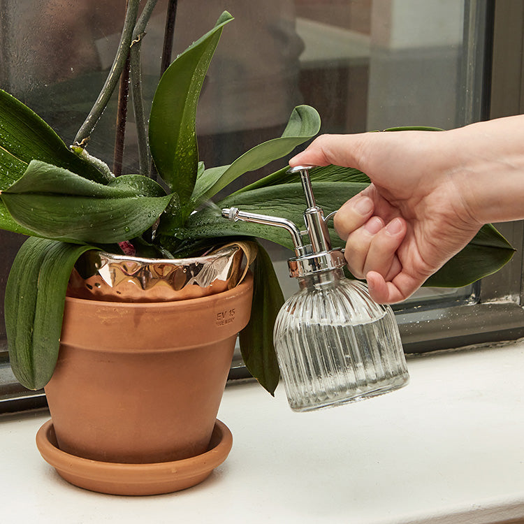 Kikkerland Home Pflanzensprüher Glas Mister mit Pumpe
