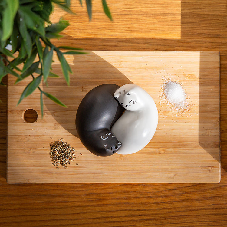 Kikkerland Kitchen Purrfect Salz- Pfefferstreuer Katzen